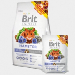 brit hamster care